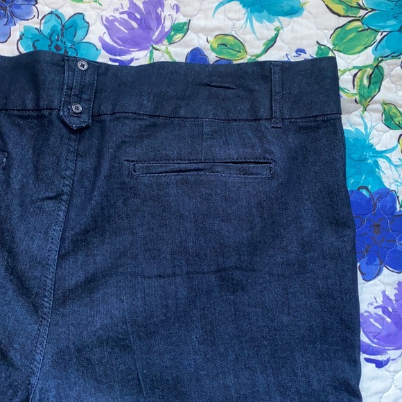 Preswick & Moore Capri Jeans Size 24W New $54 - Picture 7 of 8